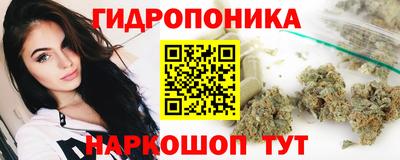 стаф Тара