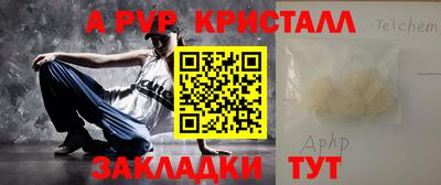 стаф Тверь
