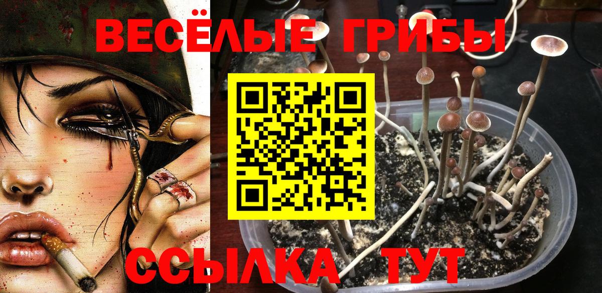 Нижневартовск  Каннабис  КОКАИН  Вход с VPN  Меф кристаллы  Кетамин  Лсд 25  Меф МЯУ МЯУ  A-PVP СОЛЬ кристаллы  ГАШ  Марихуана 