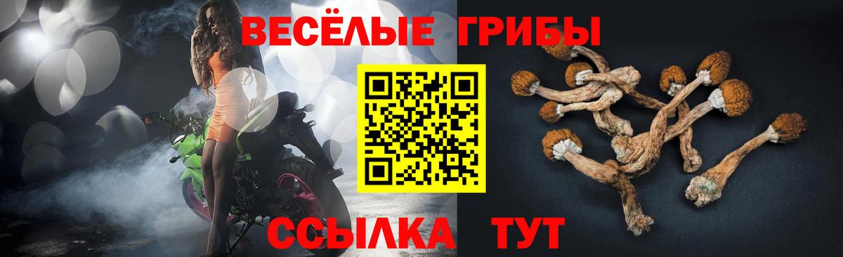 Псилоцибиновые грибы Psilocybe Нижневартовск